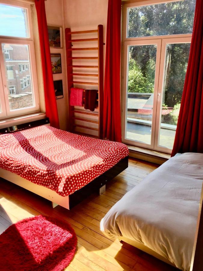 Maison Confortable Avec Piscine Privee A Bailleul Bailleul  Eksteriør bilde